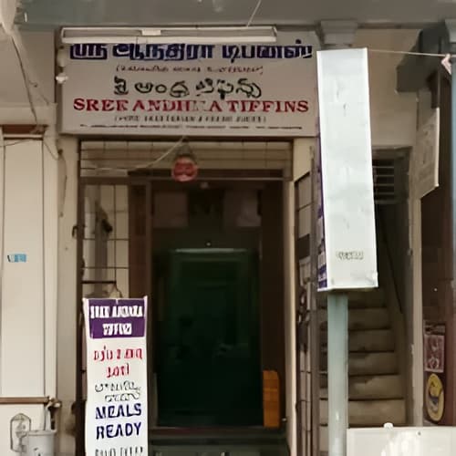 Sree Andhra Tiffins — photo 1