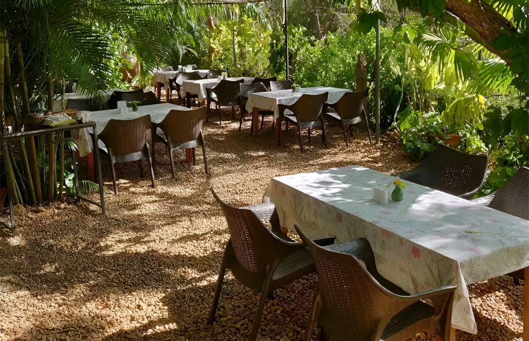 Naturellement Garden Cafe — photo 1