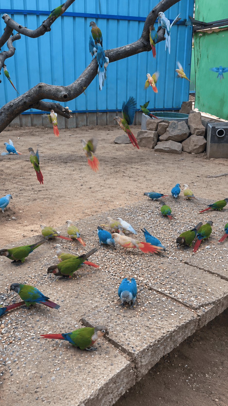 Auroville Bird Park — photo 1