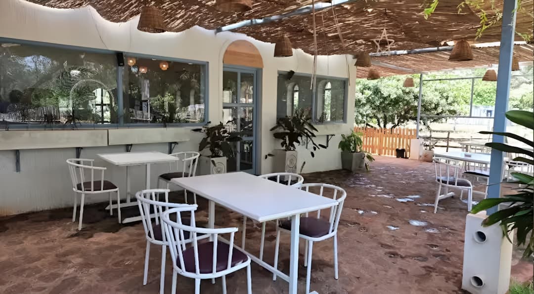 AURORA CAFÉ — photo 1